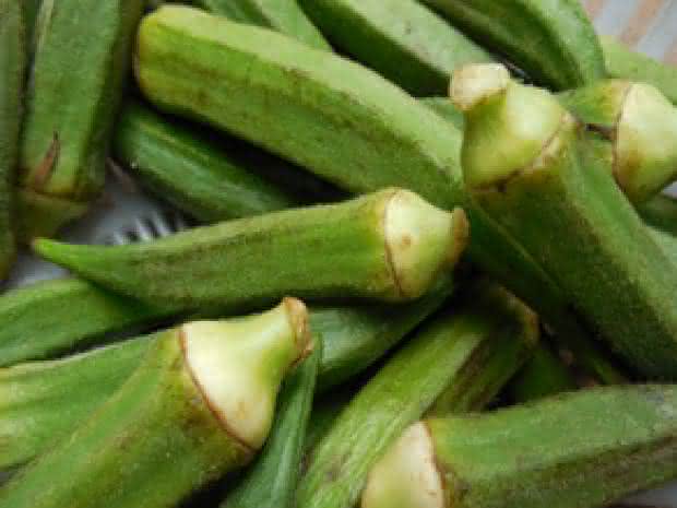 Plantas ornamentales de Okra Consejos para el cultivo de quimbombó en