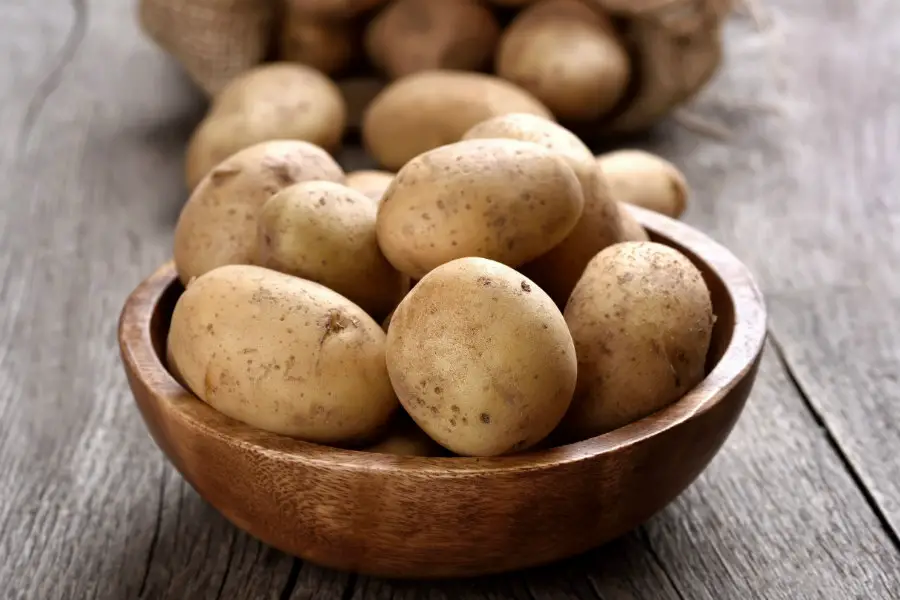 Solanum tuberosum / Patata - Consejos para mi huerto