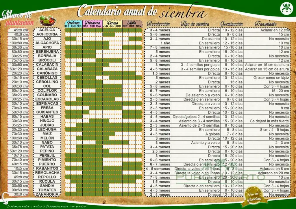 Calendario de siembra de plantas anuales Consejos para mi huerto